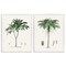 Stupell Industries Two Types of Palms 2pc Framed Giclee Set, design by Val Rhodes